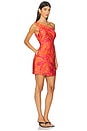 view 2 of 4 Aira Mini Dress in Aira Orange