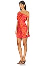 view 3 of 4 Aira Mini Dress in Aira Orange