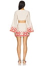 view 3 of 3 Isla Mini Dress in Isla Print