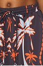 view 6 of 6 Octavia Short in Cabanna Black