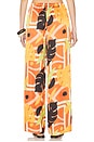 view 4 of 6 Mirage Pant in Sachi Print