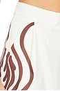 view 6 of 6 Atheni Pant in Chocolate
