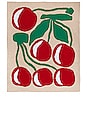 view 1 of 4 MINI MANTA CHERRIES MINI BLANKET in 