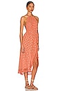 view 2 of 4 Adela Dress in Dubai Terracotta