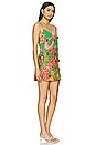 view 2 of 4 Thalia Dress in Primavera Linen