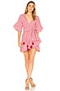 view 1 of 3 Suzy Dress in Gingham Red, Red, & Pink
