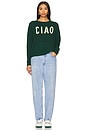 view 4 of 4 Ciao Crew Neck Sweater in Everglade