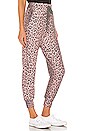 view 2 of 4 Animal Print Pocket Jogger Pant in Pink