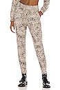 view 1 of 4 Leopard Pocket Jogger Sweatpants in Oatmeal