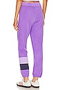 view 3 of 4 Stripe Jogger in Amethyst