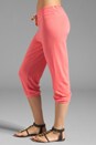 view 2 of 6 Light Terry Capri Pant in Hibiscus