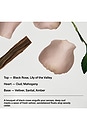 view 8 of 9 Black Rose & Oud Body Lotion in 
