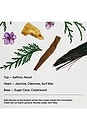 view 8 of 10 Saffron & Cedar Body Lotion in 