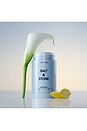 view 4 of 4 Lily & Yuzu Deodorant in 