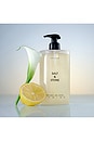 view 4 of 5 Lily & Yuzu Body Wash in 
