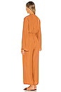 view 3 of 4 Pluto Jumpsuit in Rust