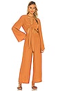 view 4 of 4 Pluto Jumpsuit in Rust