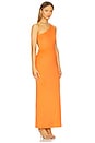 view 3 of 5 Juniper Maxi Dress in Volcanic
