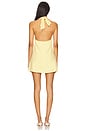 view 4 of 4 Oskar Mini Dress in Lemon