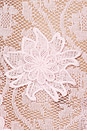 view 4 of 4 Vesper Maxi Dress in Baby Pink