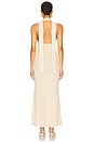 view 4 of 4 Laia Maxi Dress in Sand