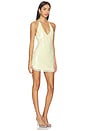 view 2 of 4 Calena Halter Mini Dress in Panna Cotta