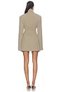 view 4 of 3 Dakari Mini Dress in Khaki