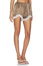 view 2 of 6 Tammi Lace Short in Hazel