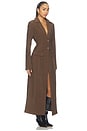 view 2 of 3 Roxana Coat in Brown