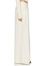 view 4 of 7 Evelina Pant in Bone