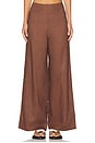 view 1 of 6 PANTALON EN LIN NINA in Mocha