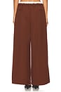 view 4 of 6 PANTALON LUCIA in Brown