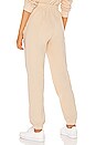 view 3 of 5 PANTALÓN DEPORTIVO in Sand