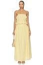 view 5 of 6 FALDA MAXI NESA  in Pollen