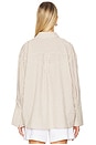 view 3 of 4 Zether Shirt in Mocha Stripe