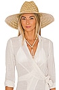 view 1 of 3 Palma Wide Brim Hat in Natural