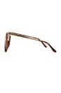 view 3 of 3 Bahamas Sunglasses in Dark Tort