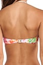 view 4 of 5 Butterfly Coast Bandeau in Bamboo
