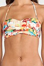 view 5 of 5 Butterfly Coast Bandeau in Bamboo