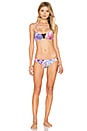 view 4 of 4 HAUT DE MAILLOT DE BAIN BRASSIÈRE KASHMIR ROULETTE in Wild Orchid