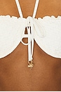 view 5 of 5 DAY DREAMER UNDERWIRE 브라 in Vanilla
