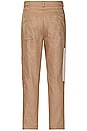 view 4 of 6 Justin Cargo Pant in Brown