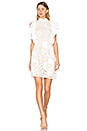 view 1 of 4 Lace Sheath Dress in Natural White