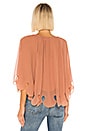 view 3 of 4 Georgette Cape Top in Blushy Brown