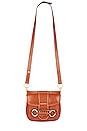 view 5 of 6 Saddie Satchel in Caramello