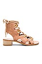 view 1 of 5 Lace Up Sandal in Natural
