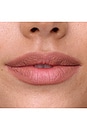 view 3 of 4 Lip Liner in Dream Bigger