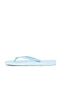 view 5 of 6 CHANCLAS TAPERED in Angel Blue