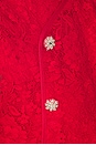 view 4 of 4 Fine Lace Mini Dress in Red