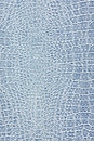 view 5 of 5 Rhinestone Croc Effect Denim Mini Dress in Blue